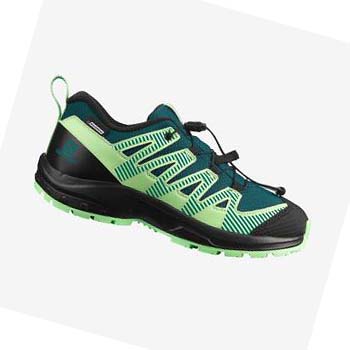 Salomon XA PRO V8 CLIMASALOMON™ WATERPROOF Túracipő Gyerek Zöld | HU 3588NWY